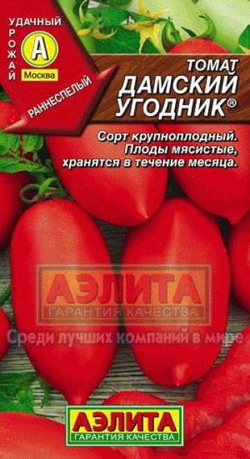 Томат Дамский угодник