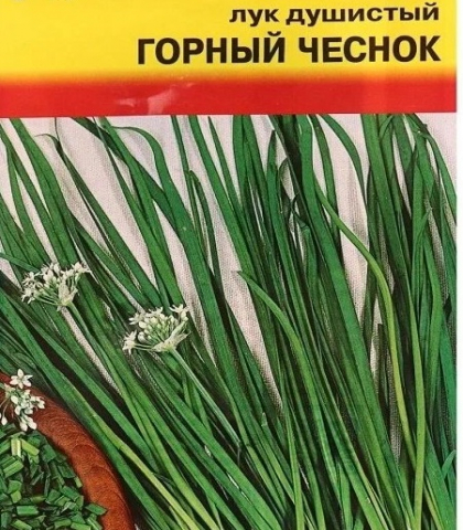 ЛУК ДУШИСТЫЙ (ГОРНЫЙ ЧЕСНОК)