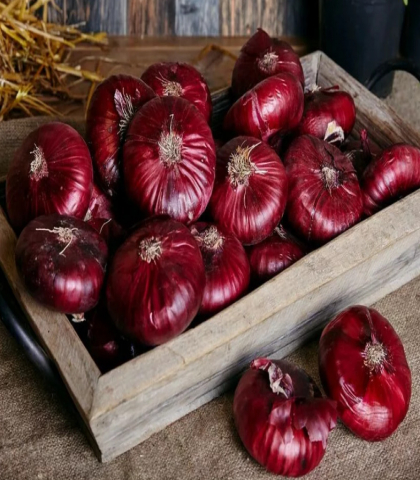 Лук репчатый Ялтинский красный