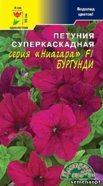 Петуния Ниагара Бургунди суперкаскадная