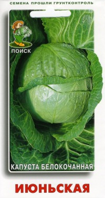 капуста Июньская