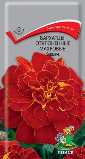 бархатцы Кармен