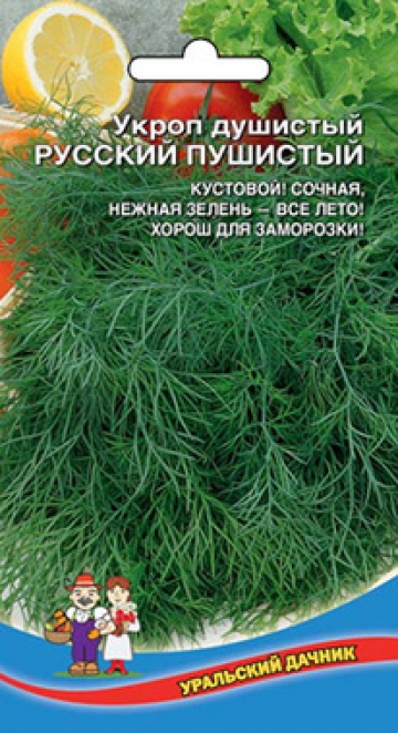 Укроп Душистый Русский пушистый